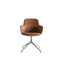 High End Barbican Dining Chair by Molteni&C Casa Design Group