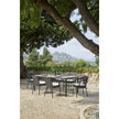 Caddie Shintotex Outdoor Dining Armchair by Point | Casa Design Group