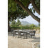 Caddie Shintotex Outdoor Dining Armchair by Point | Casa Design Group