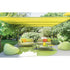 Luxury and Comfortable Canvas Outdoor Sectional Sofa by Paola Lenti Casa Design Group