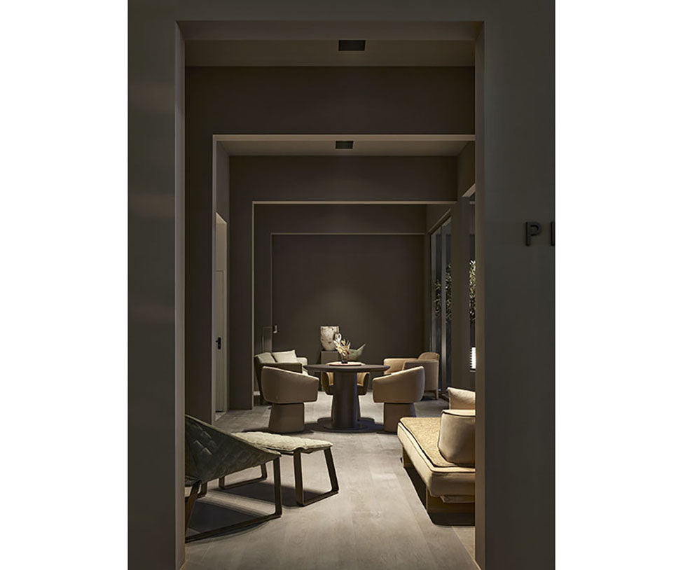 Contemporary Cara Dining Chair by Piet Boon, swivel and armrest options – Casa Design Group