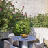 Cassina
