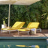 Cassina