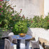 Cassina