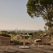Cesta Swivel Lounge Chair by Monica Armani for Tribù | Casa Design Group