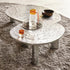 High End Charles Coffee Table by Linteloo Casa Design Group