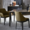 High End Chelsea Dining ArmChair by Molteni&C Quickship Casa Design Group