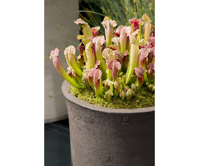 CLO Planter Atelier Vierkant 