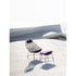 Contemporary Cut Outdoor Lounge Chair with Footrest with Epoxy Steel Frame by Potocco | Casa Design Group