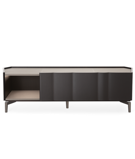 DELPHI CABINET