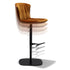 High End Dexter Bar Stool by Draenert Casa Design Group