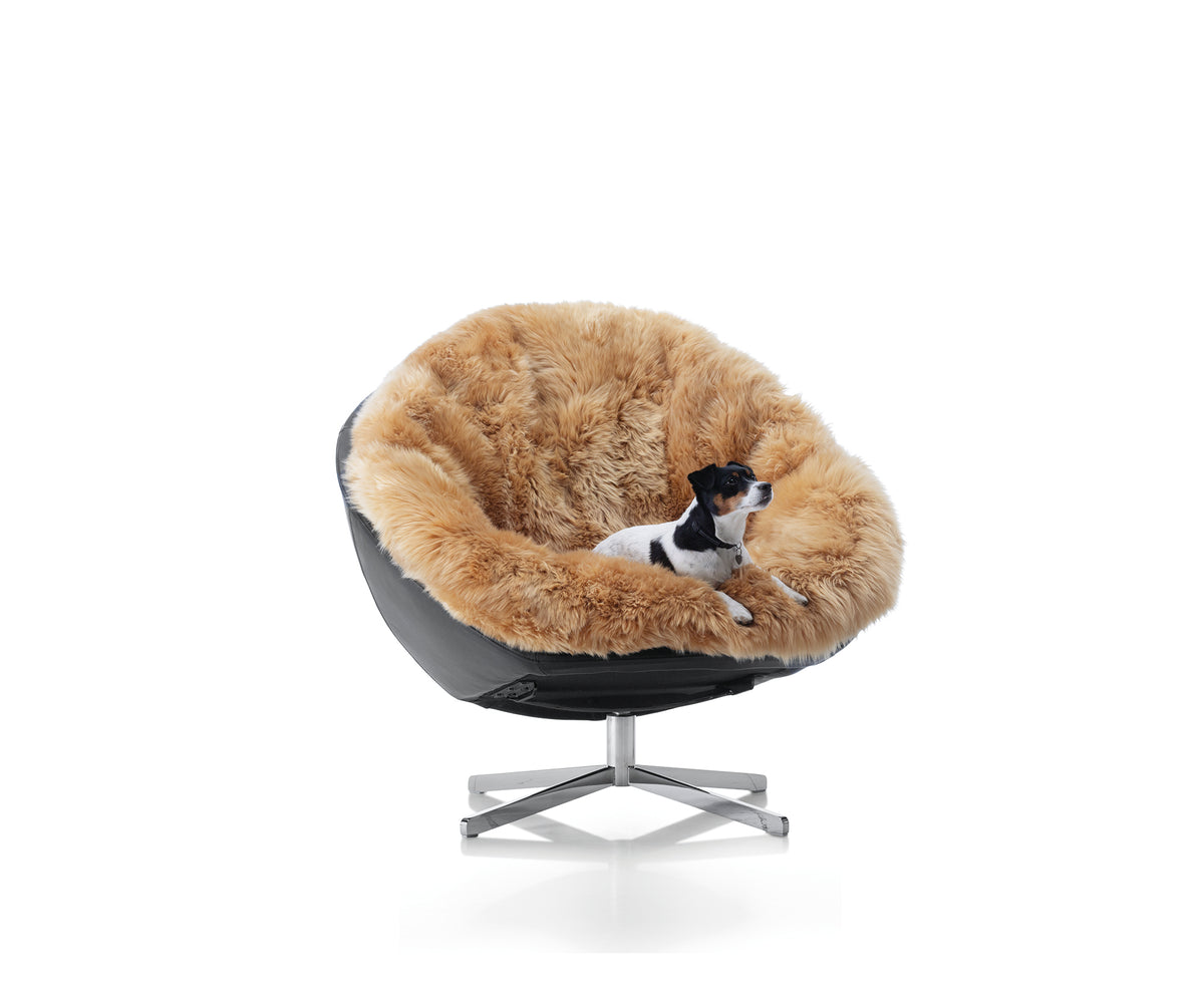 DS-265 Coco Lounge Chair De Sede