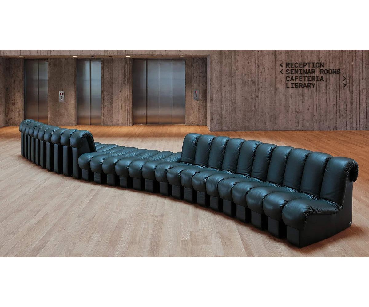 Contemporary DS-600 Snake Sofa by De Sede, Swiss craftsmanship icon | Casa Design Group
