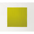 Modular Echo Outdoor Rug by Paola Lenti Casa Design Group