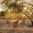 Elio woven teak dining chair by Yabu Pushelberg for Tribù | Casa Design Group