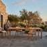 Elio woven teak dining chair by Yabu Pushelberg for Tribù | Casa Design Group