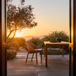 Elio woven teak dining chair by Yabu Pushelberg for Tribù | Casa Design Group