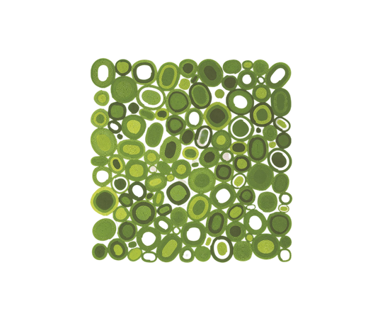 Handcrafted Ellissi Outdoor Rug by Paola Lenti Casa Design Group