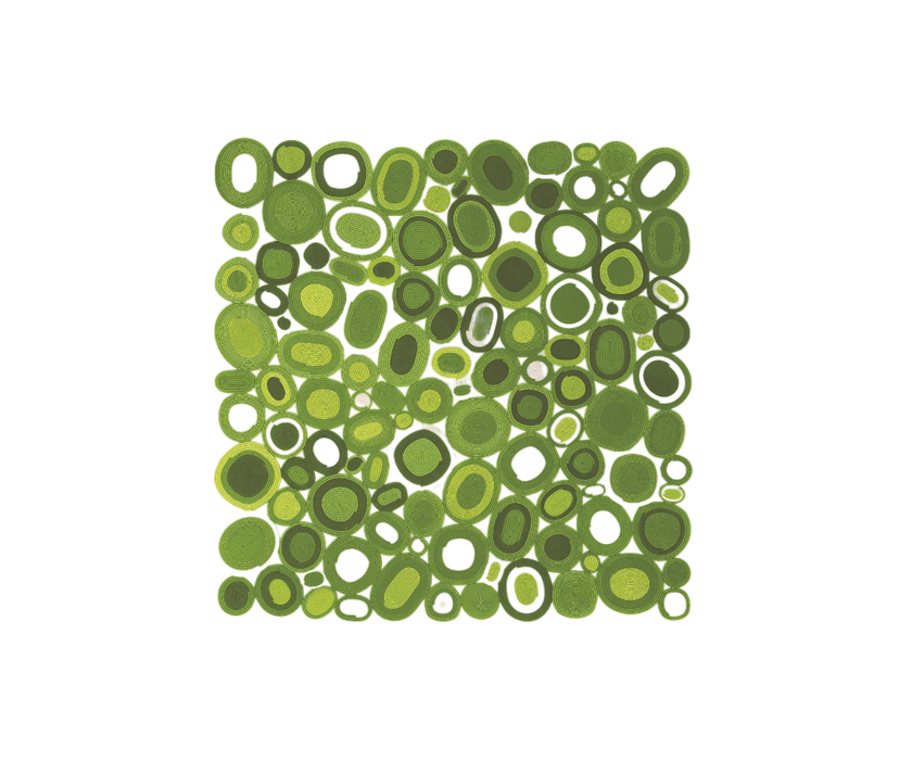 Handcrafted Ellissi Outdoor Rug by Paola Lenti Casa Design Group