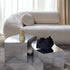 High End Evolis Sofa by Gallotti&Radice Casa Design Group