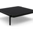 Flows Coffee Table | Manutti