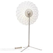 High End Floor Sample Filigree Floor Lamp by Moooi Casa Design Group