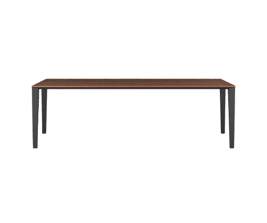 Floor Sample Filigree Table with Eucalyptus Top and Iridium Brown Structure by Molteni&C | Casa Design Group