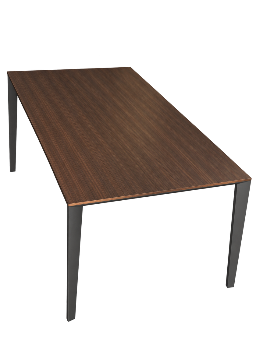 Floor Sample Filigree Table with Eucalyptus Top and Iridium Brown Structure by Molteni&C | Casa Design Group