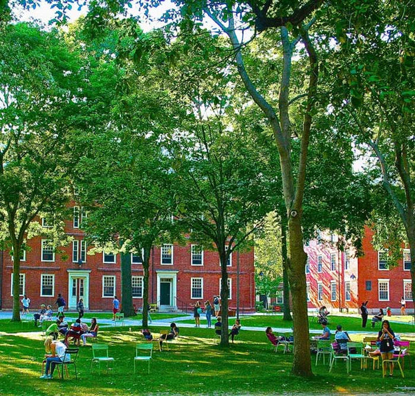 HARVARD PUBLIC SPACES