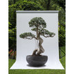 O Planter Atelier Vierkant