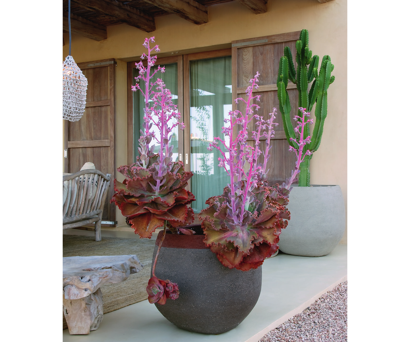 OD Planter Atelier Vierkant 