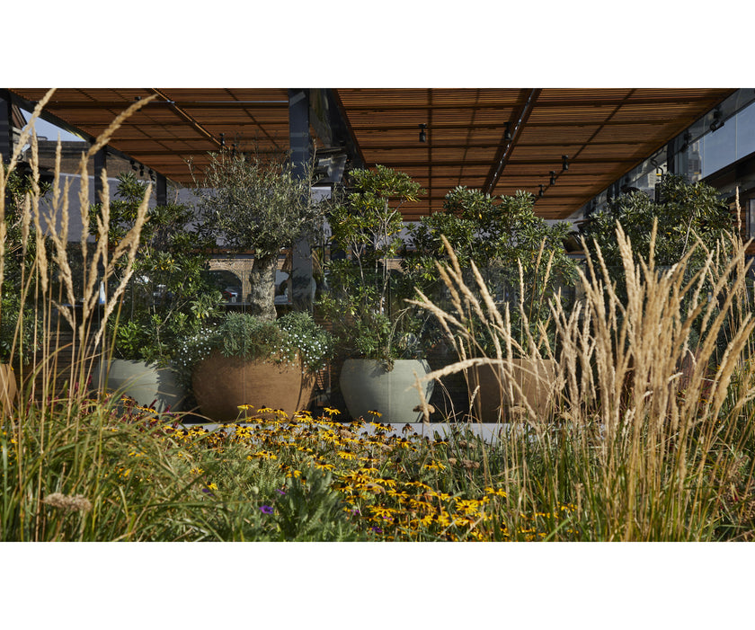 OF Planter