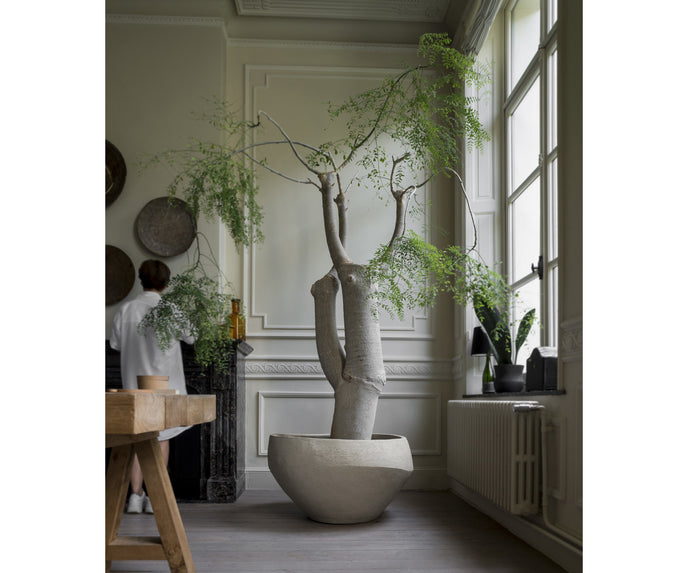 O Planter Atelier Vierkant