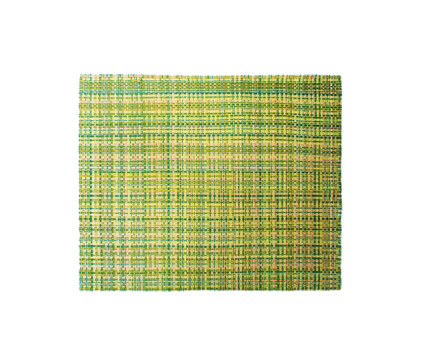 Handwoven Jali Outdoor Rug by Paola Lenti with a Stylish Fringe Edge Casa Design Group