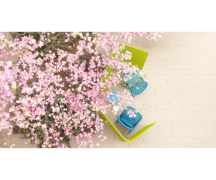 Contemporary Jardín Outdoor Lounge Chair by Paola Lenti Ideal for Modern Outdoor Spaces Casa Design Group