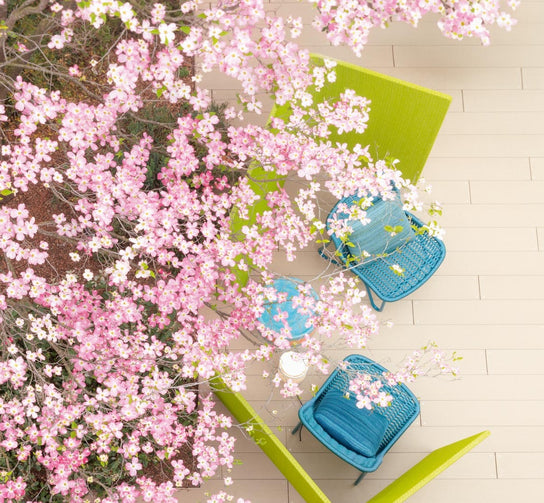 Jardín Outdoor Lounge Chair