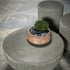 Juno Concrete Coffee Table by Draga & Aurel for Baxter | Casa Design Group
