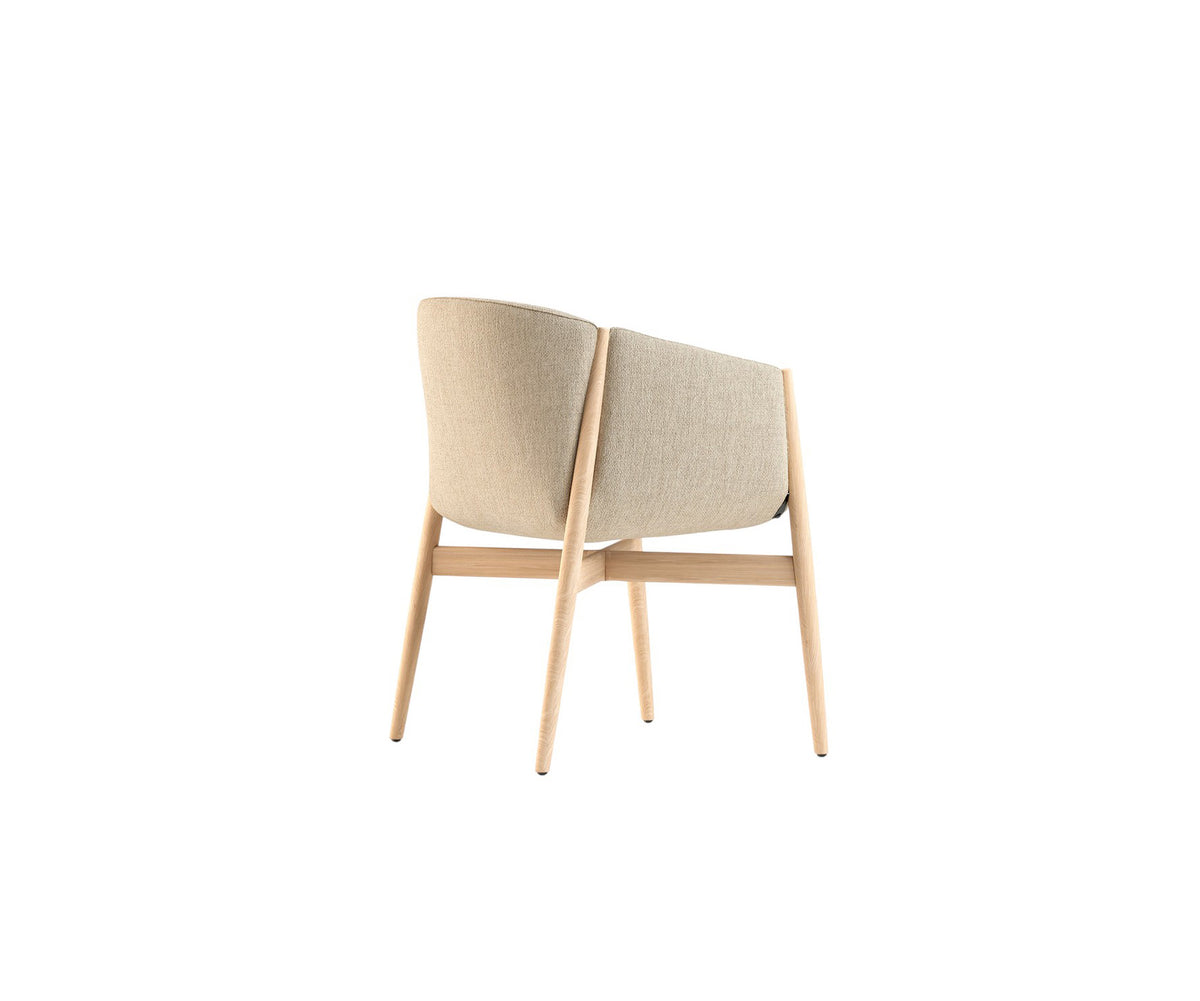 Modern Designer Kagu Armchair by Cor Casa Design Group