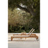 Modern Khan Outdoor Chaise Lounge by Point | Casa Design Group