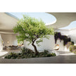 Luxury Kida Hanging Lounge Chair by Dedon | Airy Outdoor Design by Stephen Burks with Cradle-Like Form | Casa Design Group