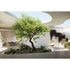 Luxury Kida Hanging Lounge Chair by Dedon | Airy Outdoor Design by Stephen Burks with Cradle-Like Form | Casa Design Group