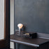 High End Linus Desk by Potocco Casa Design Group