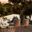 Lucca Lounge Chair by Studio Segers for Tribù | Casa Design Group