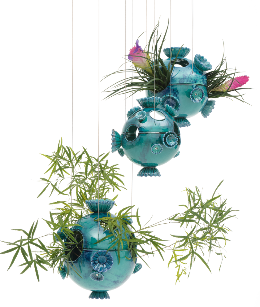MARIMO