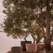 Maroa natural terracotta planter by Tribù Studio | Casa Design Group