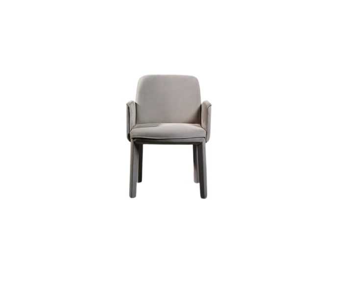 Modern Piet Boon Minne Dining Chair with oak frame and lush design – Casa Design Group