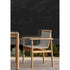 Montauk Premium Teak Wood Frame Arm Dining Chair by Paola Lenti | Casa Design Group