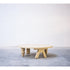 Modern Multileg Low Table with Sculptural Legs by Jaime Hayon for BD Barcelona Casa Design Group