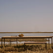 Nagomi modern woven bench by INODA+SVEJE for Tribù | Casa Design Group
