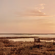 Nagomi organic lounge chair by INODA+SVEJE for Tribù | Casa Design Group